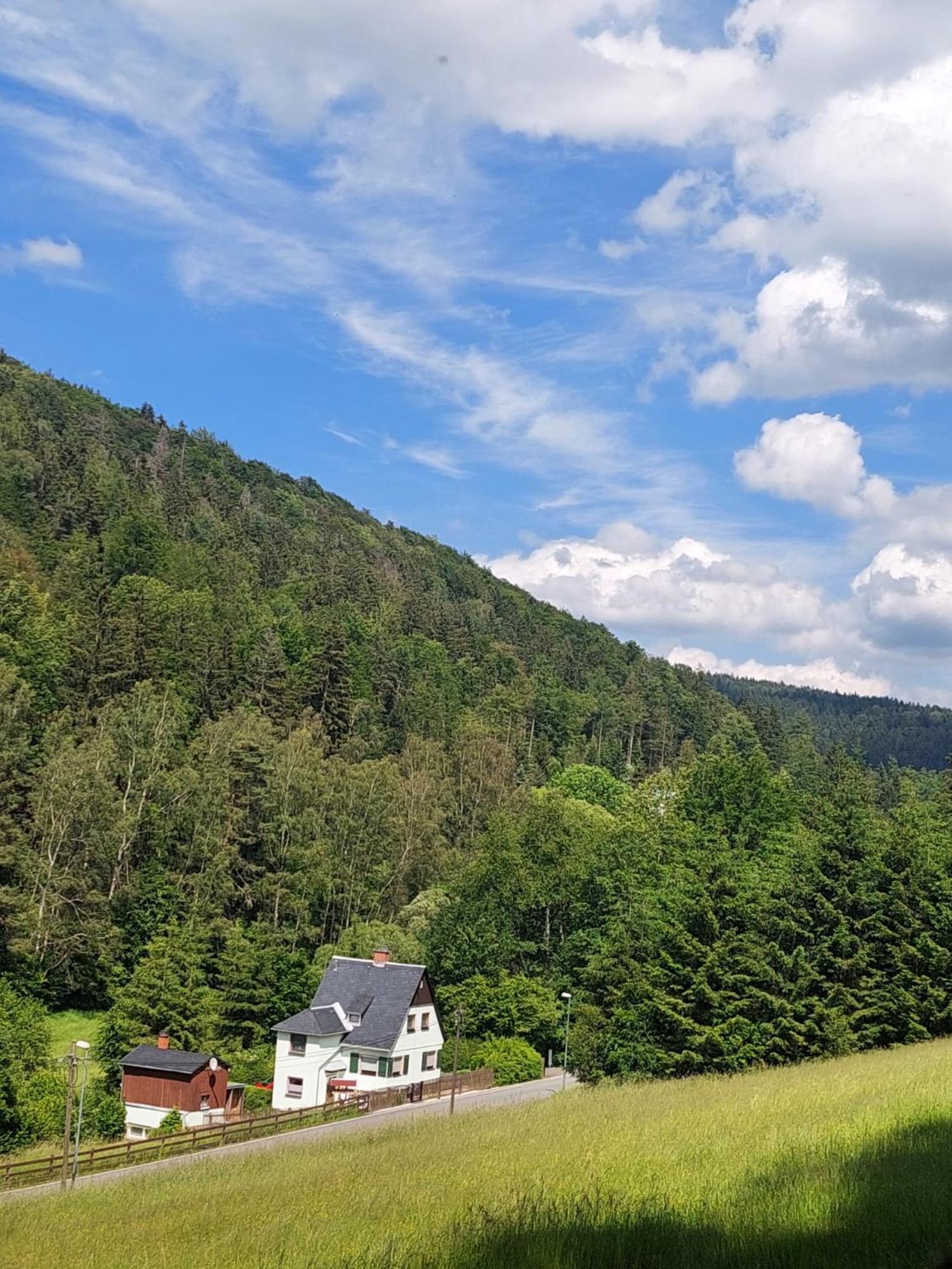 Ferienhaus Rosemarie Erlbach Vogtland Exteriér fotografie